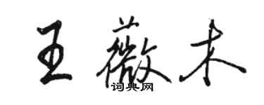 骆恒光王薇木行书个性签名怎么写