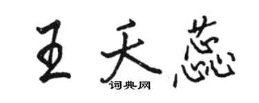 骆恒光王夭蕊行书个性签名怎么写