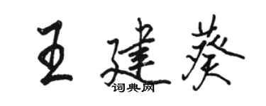 骆恒光王建葵行书个性签名怎么写