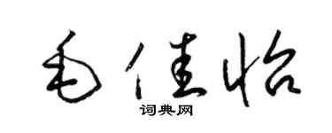 梁锦英毛佳怡草书个性签名怎么写