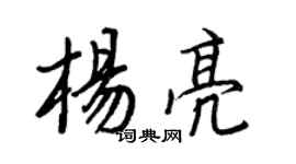 王正良杨亮行书个性签名怎么写