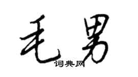 王正良毛男行书个性签名怎么写