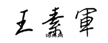 王正良王素军行书个性签名怎么写