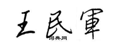 王正良王民军行书个性签名怎么写