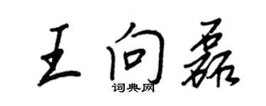王正良王向磊行书个性签名怎么写
