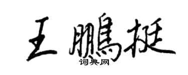王正良王鹏挺行书个性签名怎么写