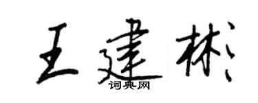 王正良王建彬行书个性签名怎么写