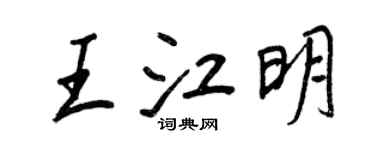 王正良王江明行书个性签名怎么写