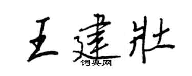 王正良王建壮行书个性签名怎么写