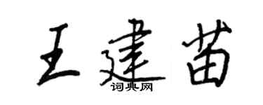 王正良王建苗行书个性签名怎么写