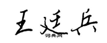 王正良王廷兵行书个性签名怎么写