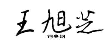 王正良王旭芝行书个性签名怎么写