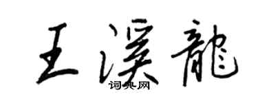 王正良王溪龙行书个性签名怎么写