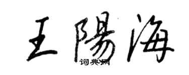 王正良王阳海行书个性签名怎么写