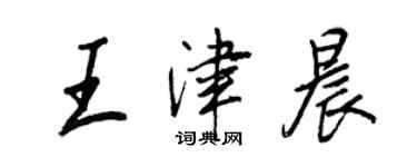 王正良王津晨行书个性签名怎么写