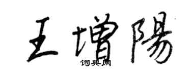 王正良王增阳行书个性签名怎么写