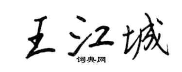 王正良王江城行书个性签名怎么写