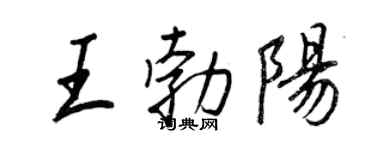 王正良王勃阳行书个性签名怎么写