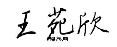 王正良王苑欣行书个性签名怎么写