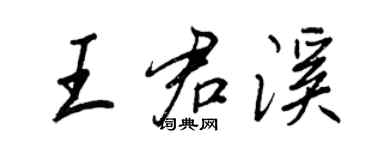 王正良王君溪行书个性签名怎么写