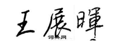 王正良王展晖行书个性签名怎么写