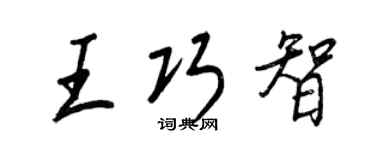 王正良王巧智行书个性签名怎么写