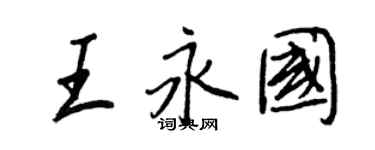 王正良王永国行书个性签名怎么写