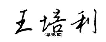 王正良王培利行书个性签名怎么写