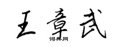 王正良王章武行书个性签名怎么写