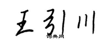 王正良王引川行书个性签名怎么写