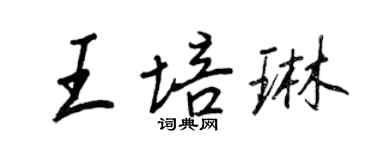 王正良王培琳行书个性签名怎么写