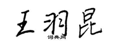 王正良王羽昆行书个性签名怎么写