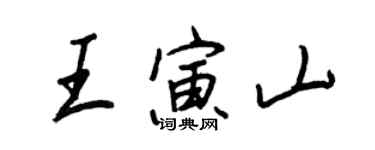 王正良王寅山行书个性签名怎么写