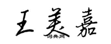 王正良王美嘉行书个性签名怎么写