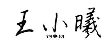 王正良王小曦行书个性签名怎么写