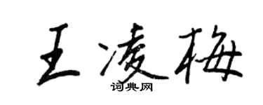 王正良王凌梅行书个性签名怎么写