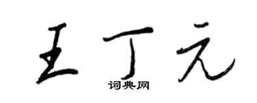 王正良王丁元行书个性签名怎么写