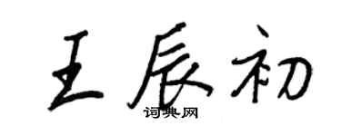 王正良王辰初行书个性签名怎么写