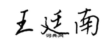 王正良王廷南行书个性签名怎么写