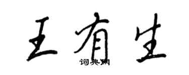 王正良王有生行书个性签名怎么写