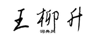 王正良王柳升行书个性签名怎么写