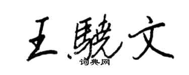 王正良王骁文行书个性签名怎么写