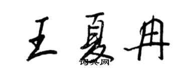 王正良王夏冉行书个性签名怎么写