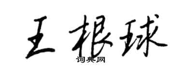 王正良王根球行书个性签名怎么写