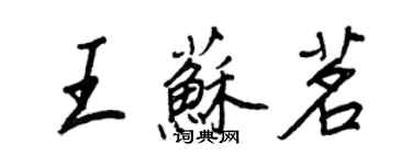 王正良王苏茗行书个性签名怎么写