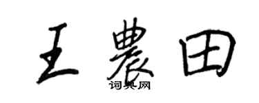 王正良王农田行书个性签名怎么写