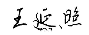 王正良王延照行书个性签名怎么写