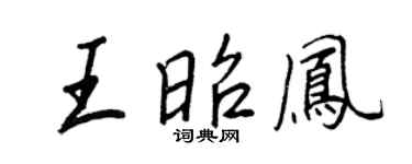 王正良王昭凤行书个性签名怎么写