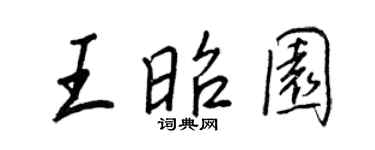 王正良王昭园行书个性签名怎么写