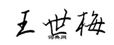 王正良王世梅行书个性签名怎么写